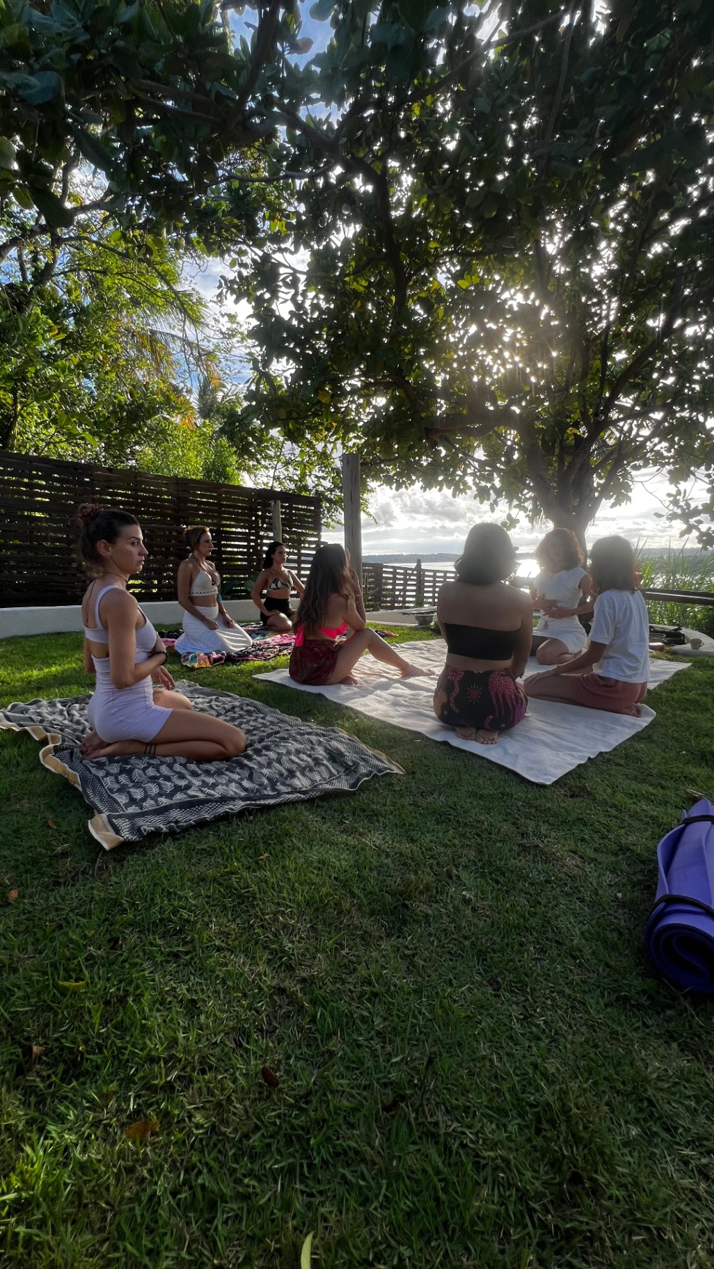 Grupo em meditação sob a árvore