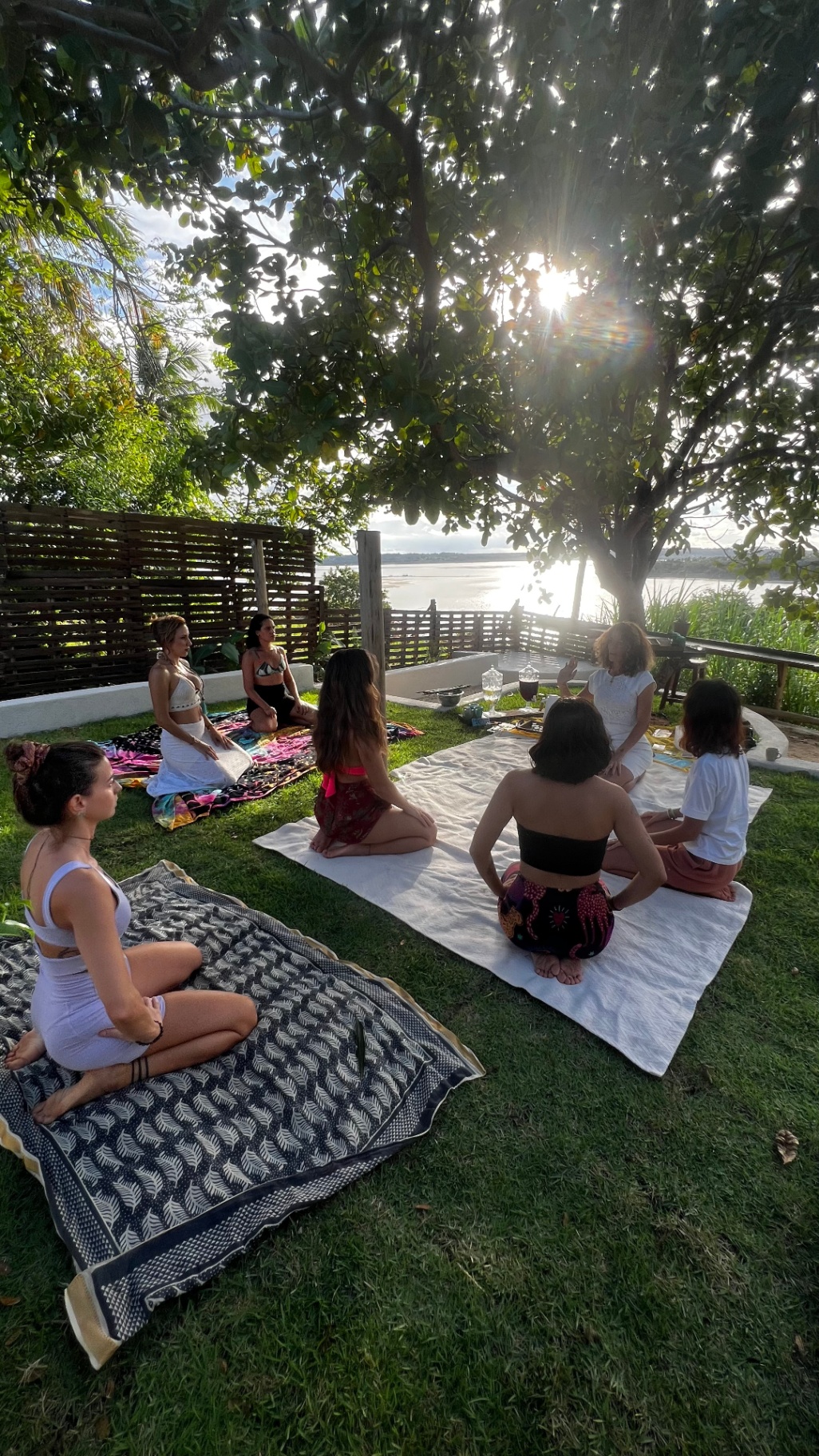 Meditação em grupo sob a árvore ao pôr do sol